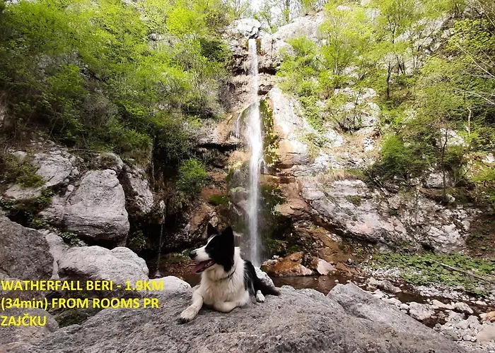 Pr Zajcku ゲストハウス *