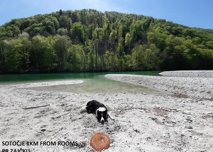 ゲストハウス Pr Zajcku *